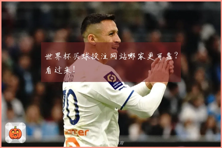 世界杯买球投注网站哪家更可靠？看过来！