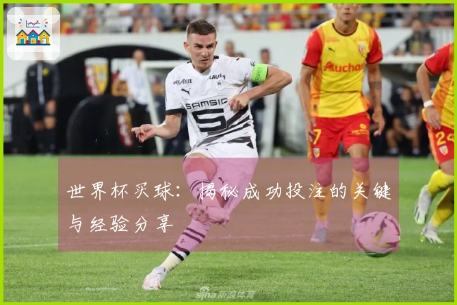 世界杯买球：揭秘成功投注的关键与经验分享